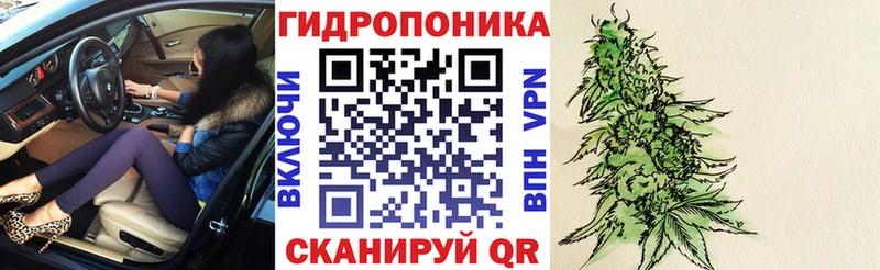 APVP Вилючинск