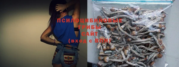 сатива Алексеевка