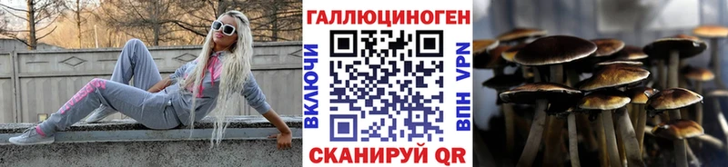 ОМГ ОМГ как войти  сколько стоит  Вилючинск  Псилоцибиновые грибы MAGIC MUSHROOMS 